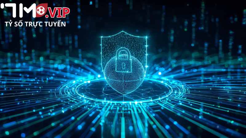 7M luôn cập nhật chính sách để phù hợp với sự phát triển.